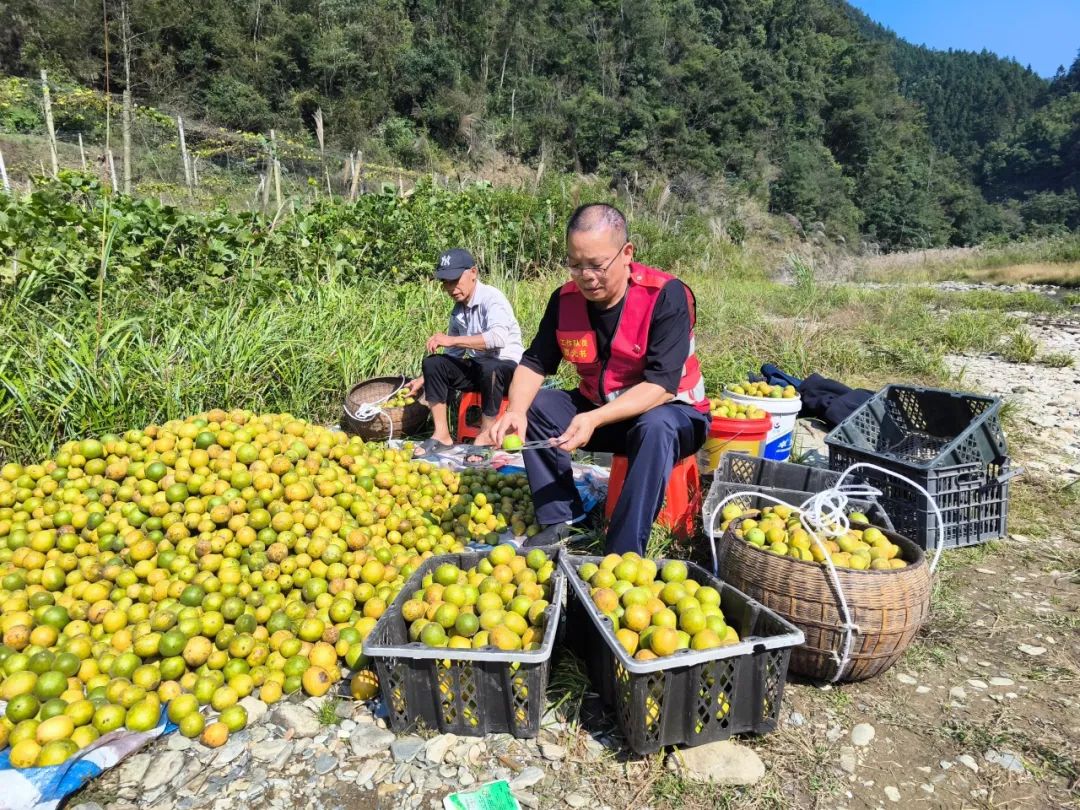 175661089968b3c153d3be4.jpg 175661089968b3c153d3be4.jpg